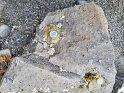 AB_20250823_093432