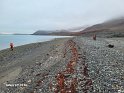 AB_20250824_195946