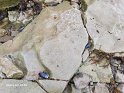AB_20250824_095433