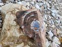 AB_20250824_111420