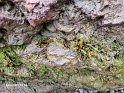 AB_20250825_202141