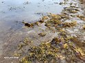 AB_20250825_094601