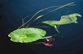 AB_DSC05808