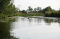 AB_DSC05859