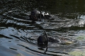 AB_DSC05866