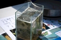 AB_DSC05963