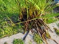 JMW_20250612_175859