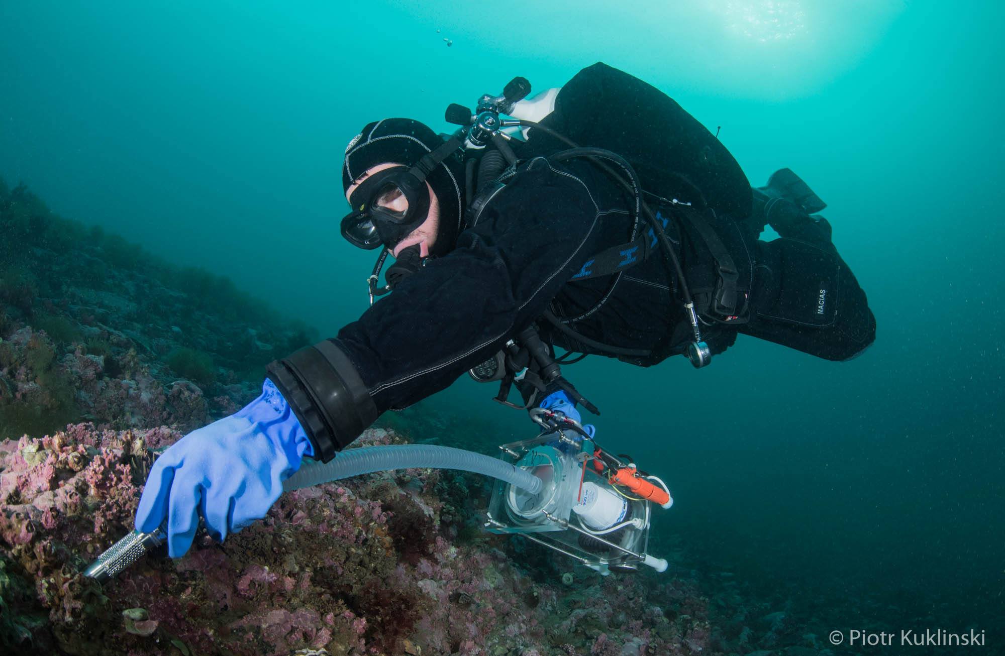 Scientific Diving